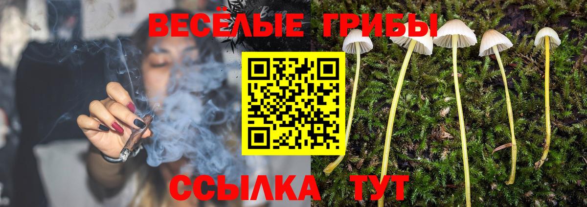 Псилоцибиновые грибы GOLDEN TEACHER Гагарин