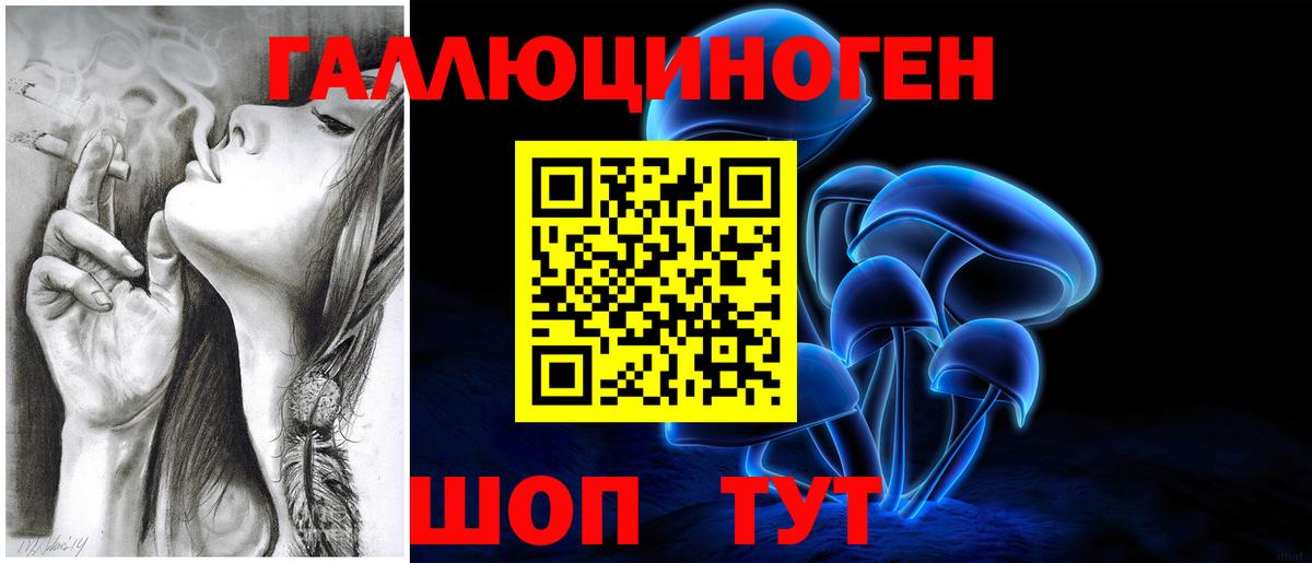 Гагарин  Псилоцибиновые грибы ЛСД  продажа наркотиков  Вход с VPN  Галлюциногенные грибы прущие грибы 